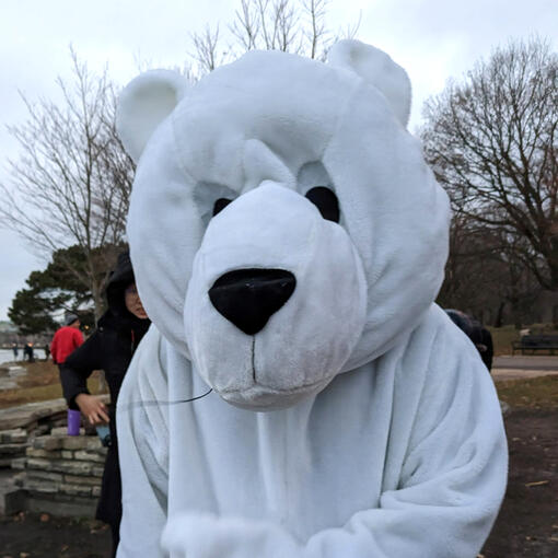 polar bear